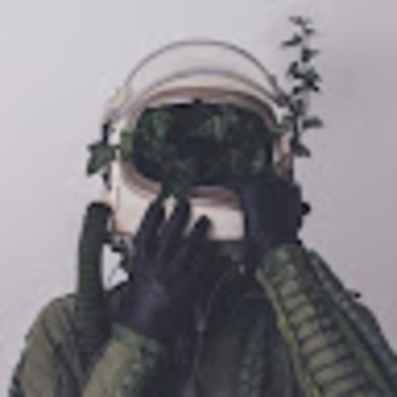 houseplantjuno